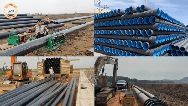 bia thuan tra ngoc 8 69e420ba34d64367a92803e785a0e6a8 grande